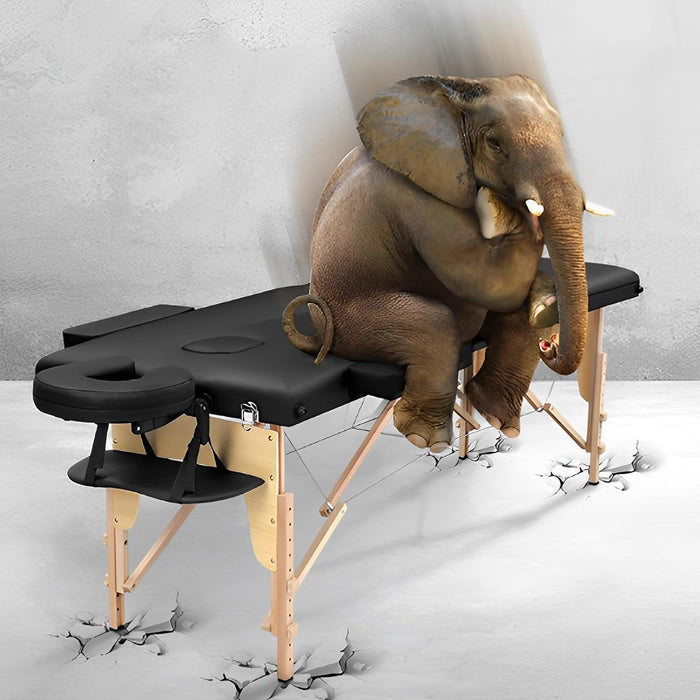 Massageliege Klappbar Kosmetik Liege: 2-Zonen Holz Massagetisch Mobile Massagebett Massagebank Für Physiotherapie & Tattoo